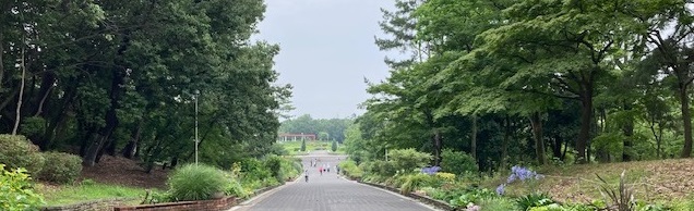 野山を駆け巡り