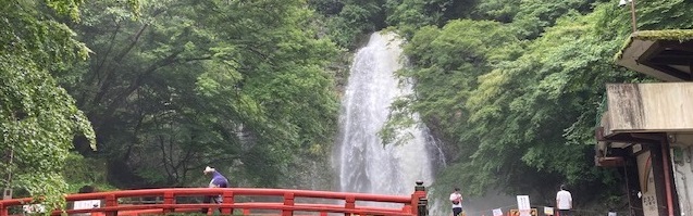 大地を疾走する